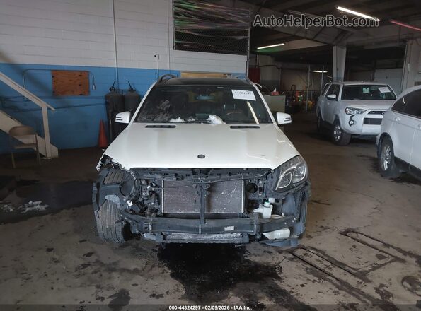 4JGDF6EE9HA792982 2017 MERCEDES-BENZ GLS 450 White 