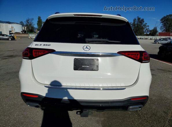 4JGFB4JB5PA884223 2023 MERCEDES-BENZ GLE White Հետևի տեսք