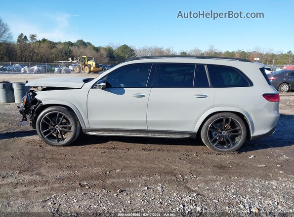 4JGFF5KE2SB341093 2025 MERCEDES-BENZ GLS 450 Gray 
