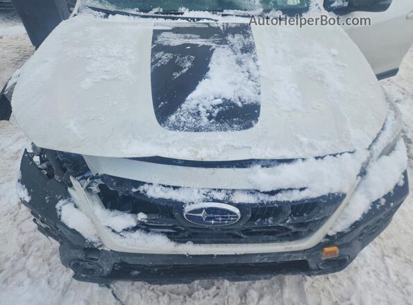 4S4BTGUD8S3229979 2025 SUBARU OUTBACK Белый Вид задней части салона