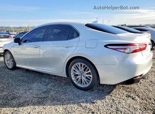 4T1B21HK7KU511582 2019 TOYOTA CAMRY Белый 