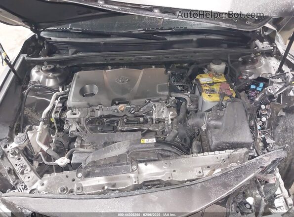 4T1C11AK2LU859096 2020 TOYOTA LE Gray Вид ззаду