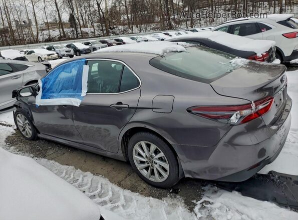 4T1C11BK9PU107593 2023 TOYOTA LE Gray 