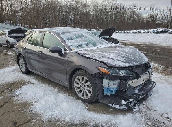 4T1C11BK9PU107593 2023 TOYOTA LE Gray 
