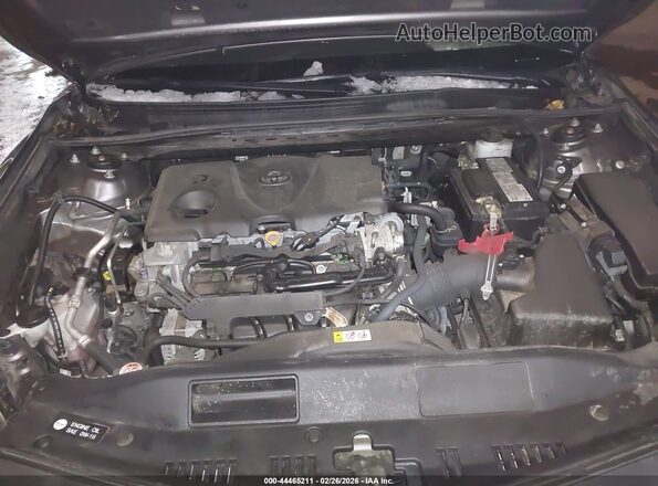 4T1G11BK2PU073594 2023 TOYOTA CAMRY Серый Вид сзади