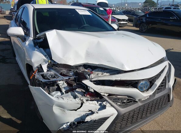 4T1G31AK9MU026392 2021 TOYOTA CAMRY White Դիմացի տեսք