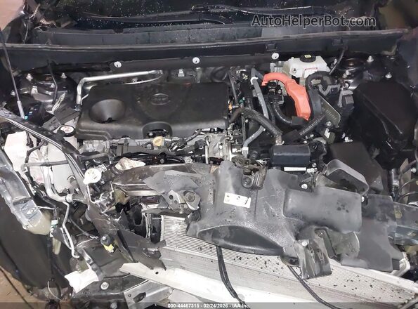 4T3D6RFV5LU004861 2020 TOYOTA LIMITED Gray Widok z tyłu