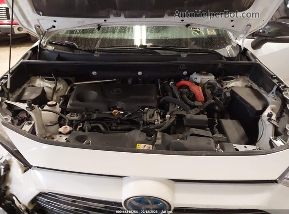 4T3E6RFV9MU041157 2021 TOYOTA RAV4 HYBRID White Հետևի տեսք