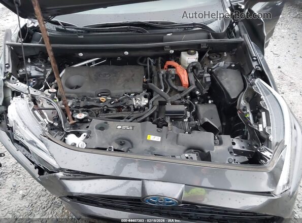 4T3T6RFV7PU116725 2023 TOYOTA RAV4 HYBRID Gray Հետևի տեսք