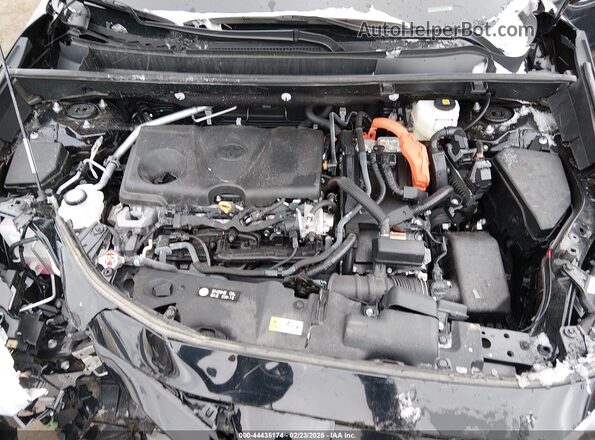 4T3T6RFV7SU183026 2025 TOYOTA RAV4 HYBRID Black Widok z tyłu
