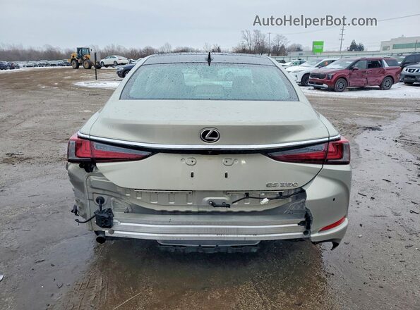 58ABZ1B18KU025173 2019 LEXUS ES Beige Vista trasera