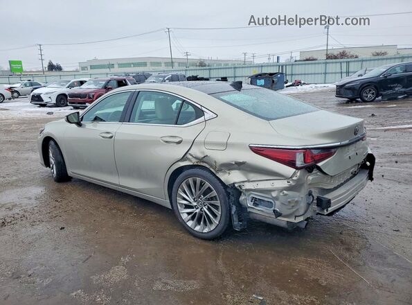 58ABZ1B18KU025173 2019 LEXUS ES Beige Trasero izquierdo