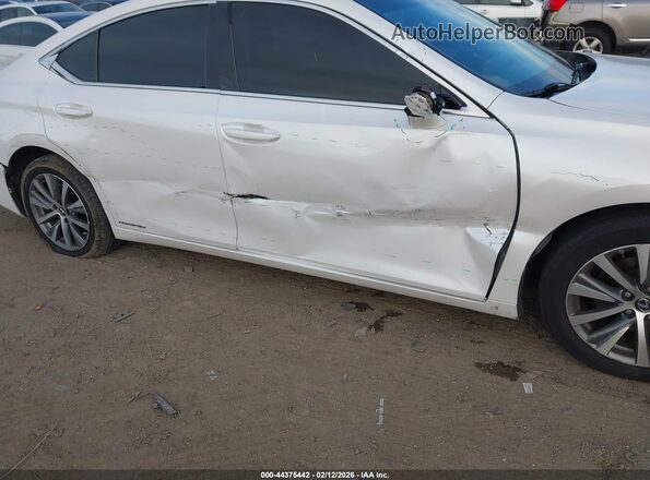 58ACA1C17MU010211 2021 LEXUS ES 300H White Դիմացի տեսք