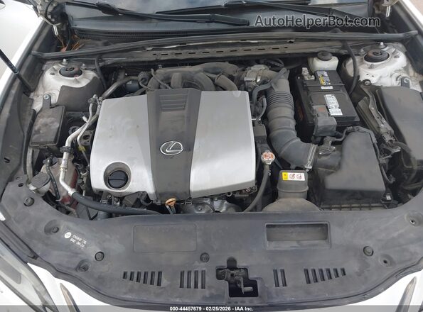 58ACZ1B17LU066061 2020 LEXUS ES 350 Белый Вид сзади