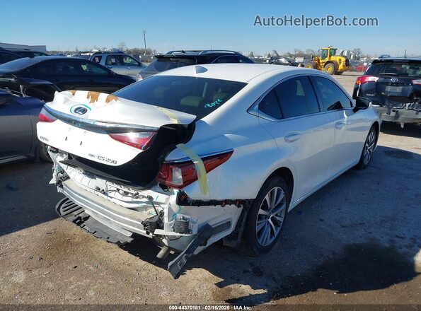 58AD11D17MU004217 2021 LEXUS ES 250 White Հետևի աջ