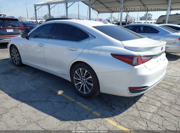 58AD21B12LU009565 2020 LEXUS ES 300H White Հետևի ձախ