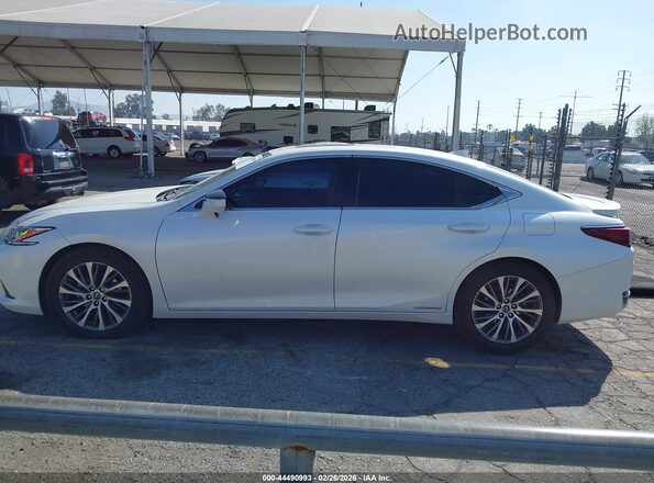 58AD21B12LU009565 2020 LEXUS ES 300H White Սալոնի 360 աստիճան տեսք