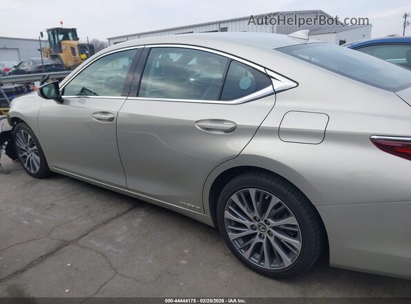 58ADA1C10MU005632 2021 LEXUS ES 300H Gold სალონის 360-გრადუსიანი ხედი