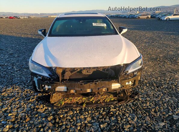 58ADA1C17RU050767 2024 LEXUS ES Белый Вид спереди
