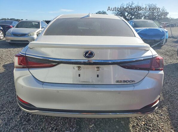 58ADA1C18NU024091 2022 LEXUS ES White Widok z tyłu