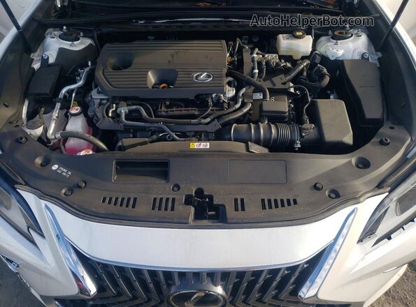 58ADA1C19SU064305 2025 LEXUS ES White უკანა სალონის ხედი