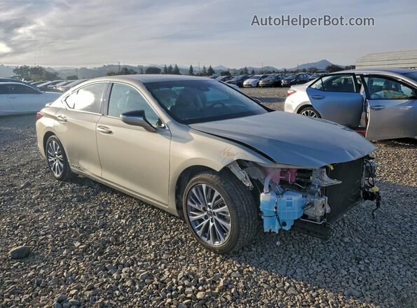 58ADA1C1XMU006528 2021 LEXUS ES Tan Передня права чверть