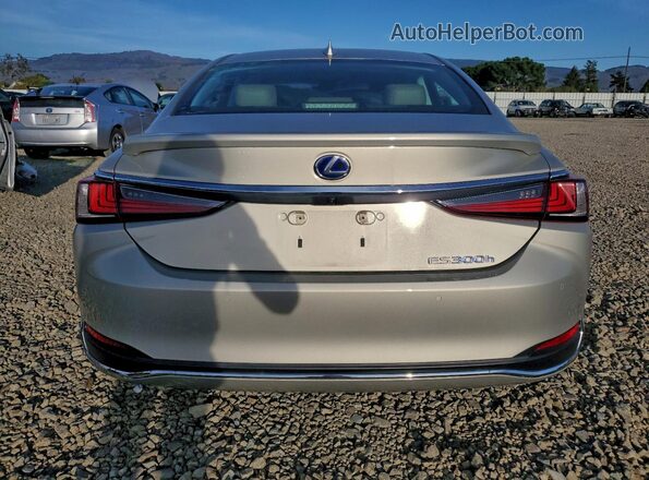 58ADA1C1XMU006528 2021 LEXUS ES Tan Вид ззаду