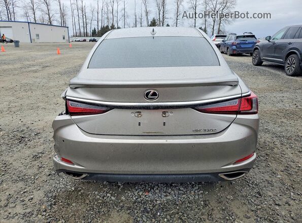 58ADZ1B13LU061007 2020 LEXUS ES Silver Vista trasera
