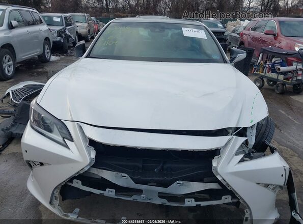 58ADZ1B17PU139830 2023 LEXUS ES 350 White წინა ხედი