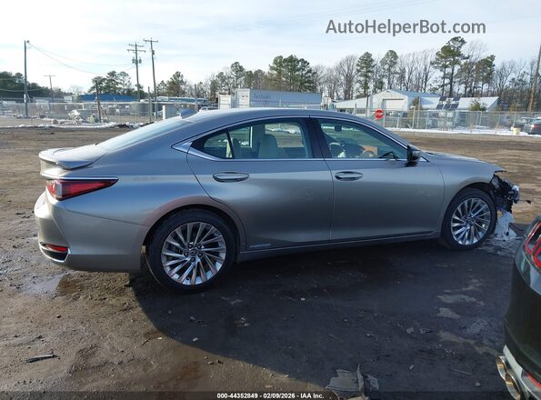 58AE21B13LU011698 2020 LEXUS ES 300H Серый Вид задней части салона