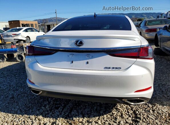 58AEZ1B15RU165348 2024 LEXUS ES White Вид ззаду