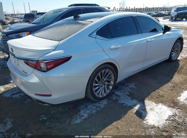 58AEZ1B17MU084361 2021 LEXUS ES 350 White უკანა მარჯვენა