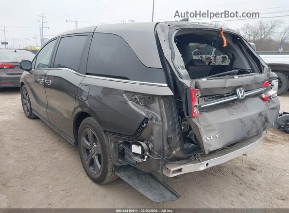 5FNRL6H50MB007927 2021 HONDA ODYSSEY Коричневый Задняя левая четверть
