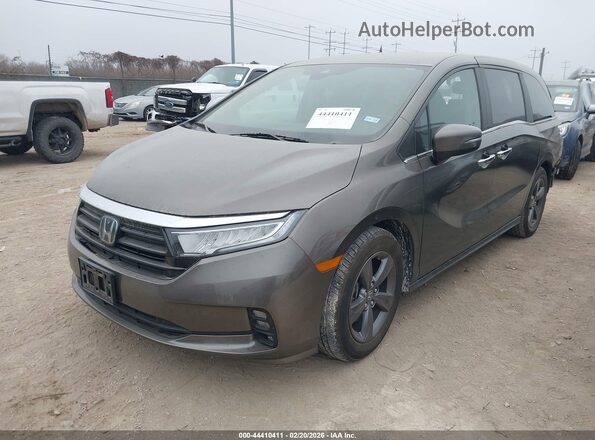5FNRL6H50MB007927 2021 HONDA ODYSSEY Коричневый Передняя левая четверть