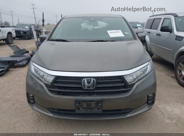 5FNRL6H50MB007927 2021 HONDA ODYSSEY Коричневый Вид задней части салона