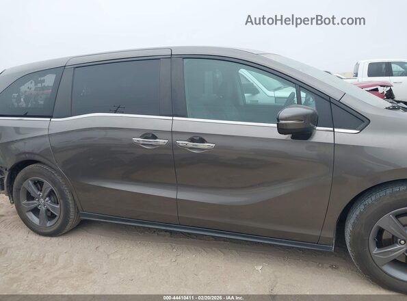 5FNRL6H50MB007927 2021 HONDA ODYSSEY Коричневый Панорамный вид салона 360°