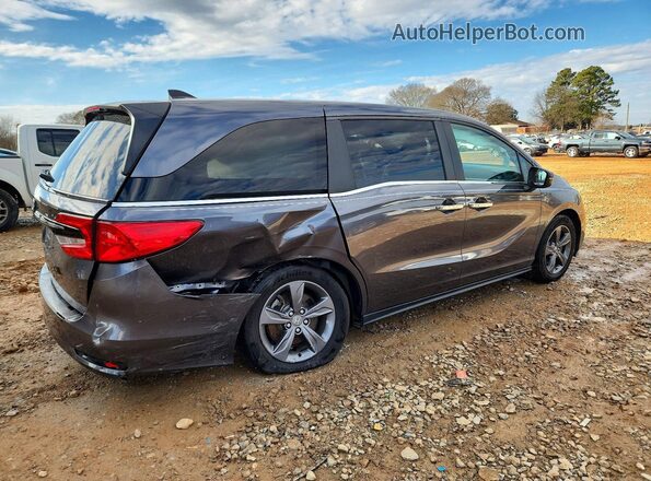 5FNRL6H56MB007558 2021 HONDA ODYSSEY Серый Задняя правая четверть