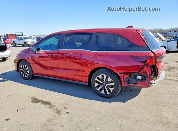 5FNRL6H63TB000381 2026 HONDA ODYSSEY Red Հետևի ձախ