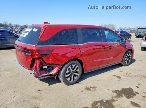 5FNRL6H63TB000381 2026 HONDA ODYSSEY Red Հետևի աջ
