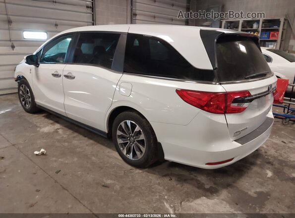 5FNRL6H65RB054449 2024 HONDA ODYSSEY White Հետևի ձախ