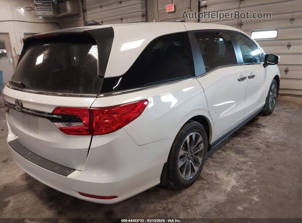 5FNRL6H65RB054449 2024 HONDA ODYSSEY White Հետևի աջ