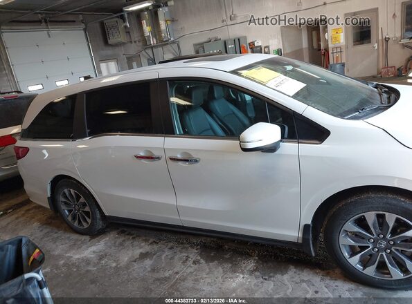 5FNRL6H65RB054449 2024 HONDA ODYSSEY White Սալոնի հետևի տեսք
