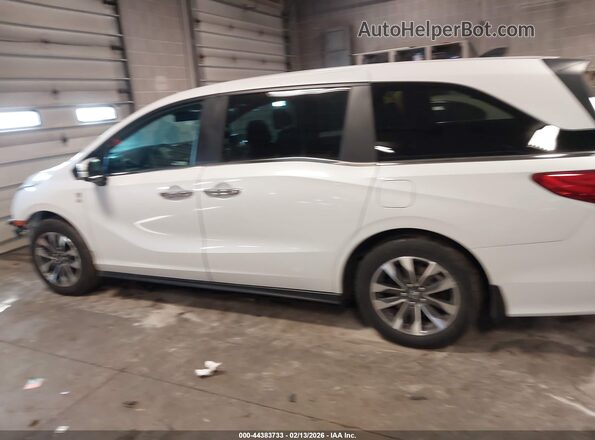 5FNRL6H65RB054449 2024 HONDA ODYSSEY White Սալոնի 360 աստիճան տեսք