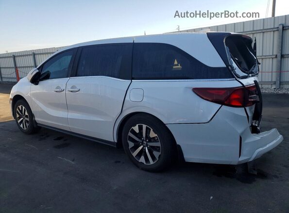 5FNRL6H65TB007249 2026 HONDA ODYSSEY Белый Задняя левая четверть