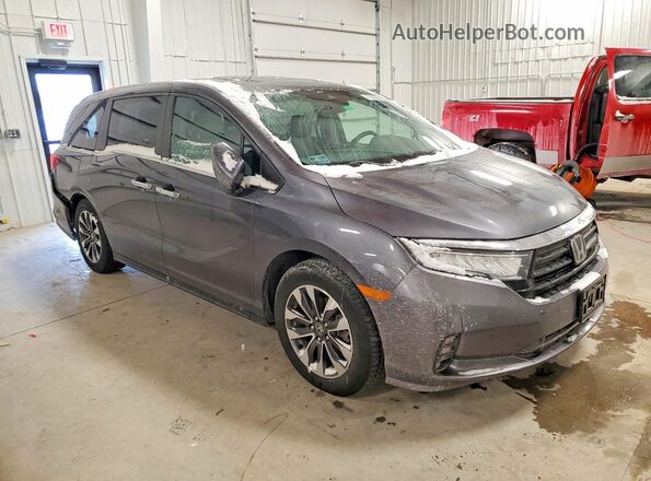 5FNRL6H73NB034073 2022 HONDA ODYSSEY Silver Առջևի աջ