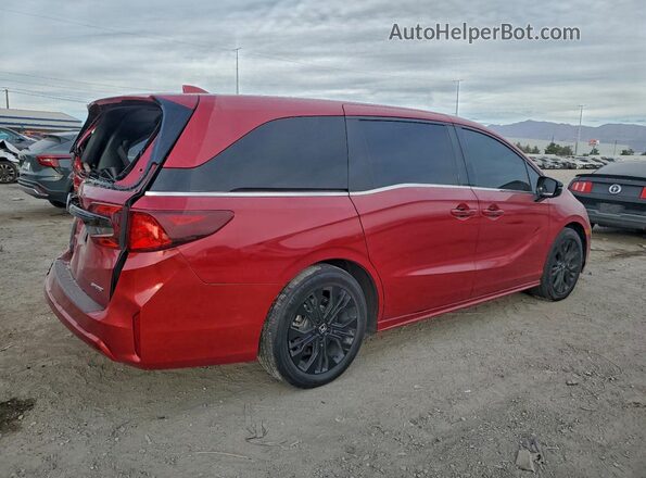5FNRL6H78SB003428 2025 HONDA ODYSSEY Красный Задняя правая четверть