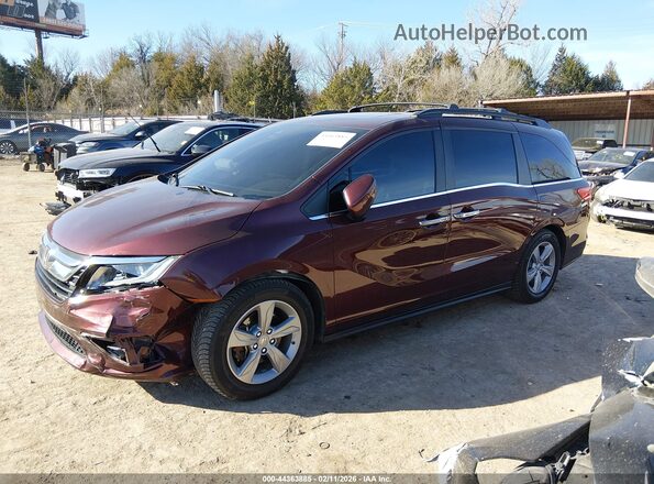 5FNRL6H79KB005737 2019 HONDA ODYSSEY Burgundy 