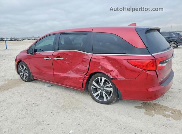 5FNRL6H88NB066932 2022 HONDA ODYSSEY Red Rear left
