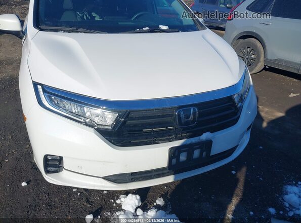5FNRL6H8XRB064900 2024 HONDA ODYSSEY White Widok z przodu