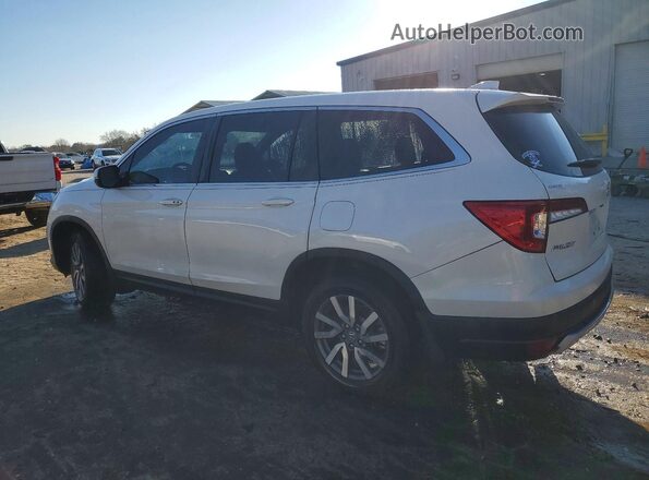 5FNYF5H4XKB019746 2019 HONDA PILOT Белый Задняя левая четверть